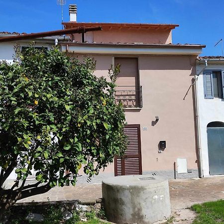 Appartamento Il Limone Pisa Ngoại thất bức ảnh